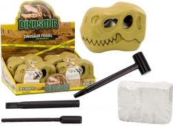 Fouilles archéologiques Fossiles de dinosaures Crâne