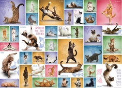 Puzzle Yoga des Chats 1000 pièces