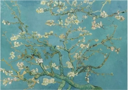 Puzzle Fleur d’amandier XL 700 pièces ANATOLIAN