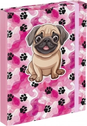 Chemises pour cahiers scolaires A5 - Pattes