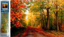 peinture diamant automne en forêt 30 × 40 cm