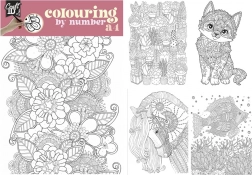 Peinture par numéros A4 avec crayons duo