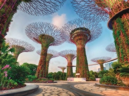 Ravensburger puzzle Super Arbres à Singapour 1500 pièces