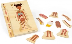 Bigjigs Toys puzzle en bois anatomie – fille