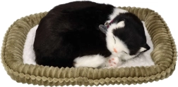 Chaton interactif qui respire, noir et blanc
