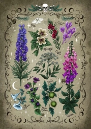 Puzzle Plantes Vénéneuses 1000 pièces