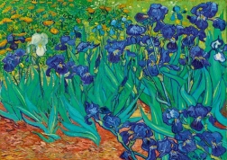 Puzzle Iris 1000 pièces