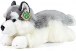 Husky en peluche couché 30 cm RAPPA