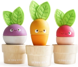 Pots de fleurs en bois avec légumes LE TOY VAN