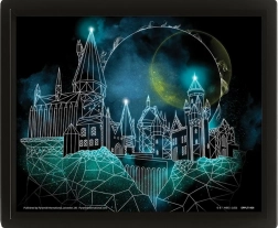 Tableau 3D HARRY POTTER – Poudlard