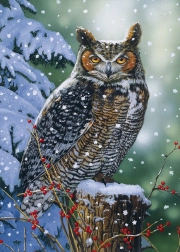 Puzzle Observateur silencieux 500 pièces ALIPSON