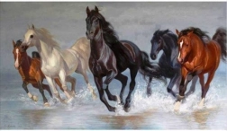 Peinture diamant NORIMPEX – troupeau de chevaux 80 × 40 cm