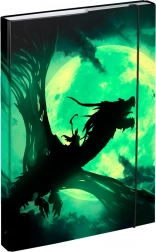 Chemises pour cahiers scolaires A4 avec motif dragon BAAGL