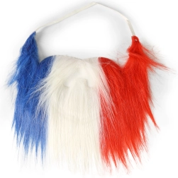 Barbe de carnaval tricolore