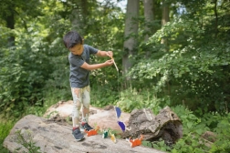 Jeu de Chasse aux Crabes