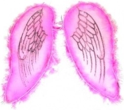 Ailes roses pour ange et fée