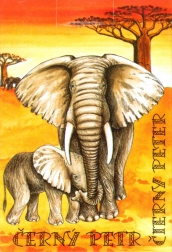 Le Pouilleux - Cartes pour enfants Safari