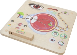 Masterkidz Tableau Éducatif Vue Montessori