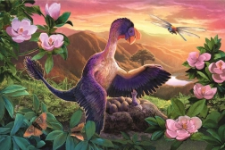 Puzzle Dinosaures incroyables : Microraptor au nid 54 pièces