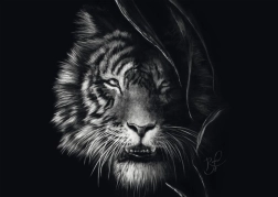 Puzzle Schmidt Fureur du tigre – incarnation de la liberté 1000 pièces