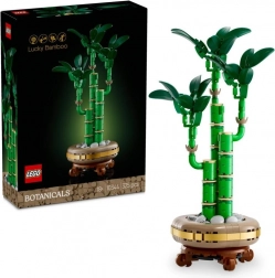 LEGO Botanicals 10344 Bambou porte-bonheur