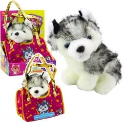 Chien husky en peluche dans un sac