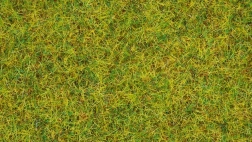 Herbe statique Prairie d’été 2,5 mm