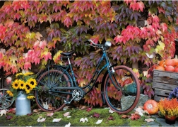 Puzzle La magie de l’automne 1000 pièces PIATNIK