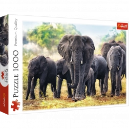 Puzzle 1000 pièces – éléphants africains TREFL