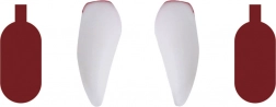 Dents de vampire avec faux sang