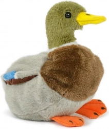 canard en peluche colvert 18 cm