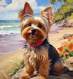 Peinture au diamant yorkshire sur la plage 30 × 40 cm