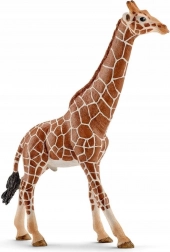 Figurine mâle girafe Schleich Wild Life