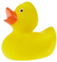 Grande Canard pour Enfants
