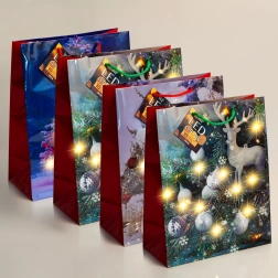 Sac cadeau LED avec éclairage blanc chaud - 1 pièce