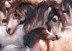 Puzzle Schmidt Chevaux Pinto 1000 pièces