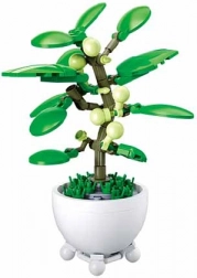 Sluban plante tropicale en pot