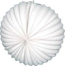 Lampion blanc rond 25 cm