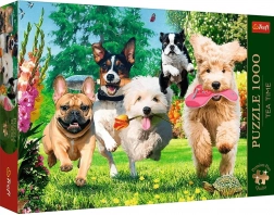 Trefl Puzzle Premium Plus Tea Time : Farces de chiens au jardin 1000 pièces