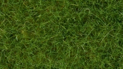 Herbe statique sauvage vert clair 6 mm Noch