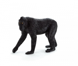 Mojo figurine de macaque à huppe – taille moyenne