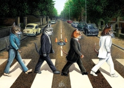 Puzzle Tabby Road 1000 pièces