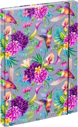 Chemise pour cahiers A4 Colibri BAAGL