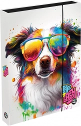 Boîte pour cahiers A4 Jumbo avec chien
