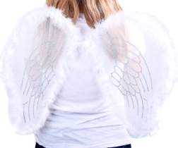 Les plus belles ailes d'ange blanches