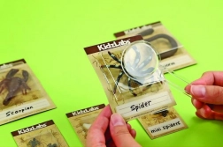 kit éducatif de fouilles – petits insectes