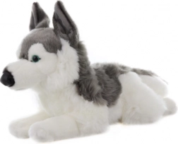 Husky en peluche 43 cm