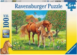 Puzzle Chevaux dans le pré XXL