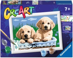 CreArt Chiots adorables