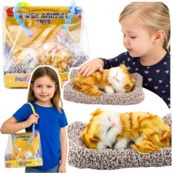 Chat roux endormi sur coussin avec pelage doux et miaulement dans étui portable